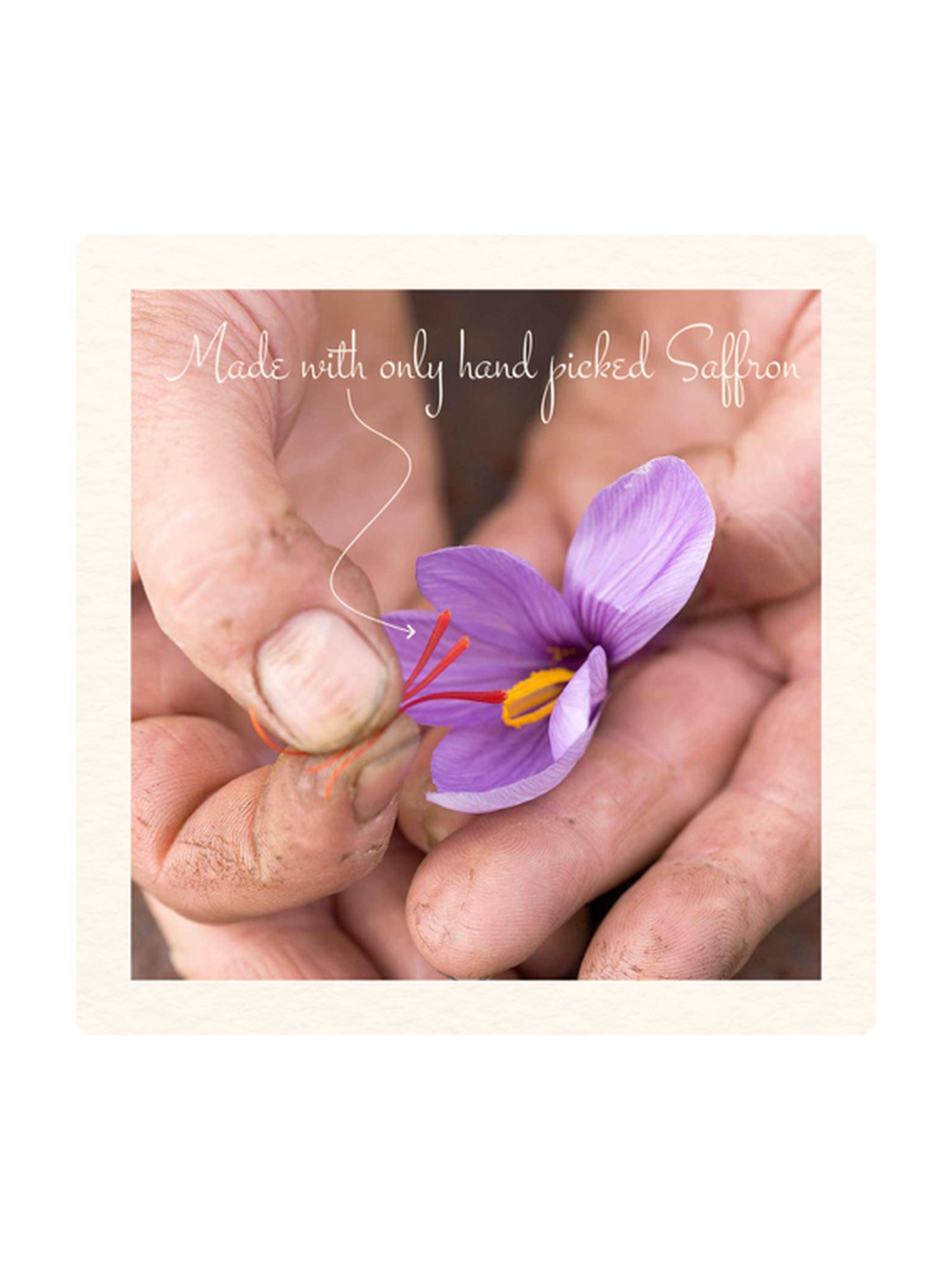 The Paradise Tree Kashmiri Saffron Shower Gel - 325 ml