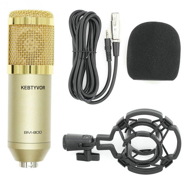 BM-800 Condenser Microphone, Cardioid Studio Recording Microphone with Shock Mount, XLR Cable