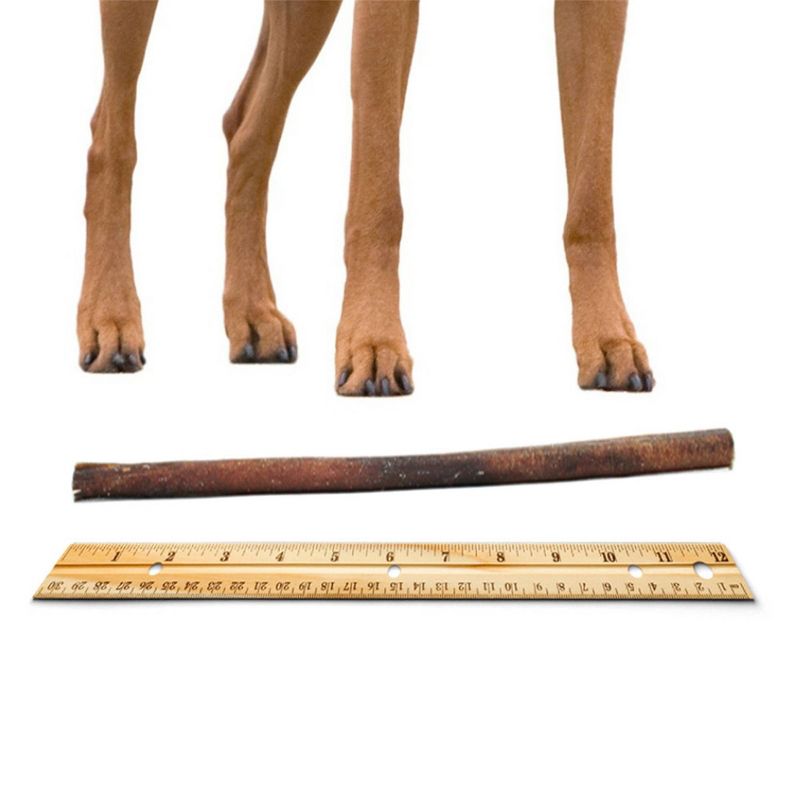 Nudges Protein Biscuit Chicken Dog Treats -16oz