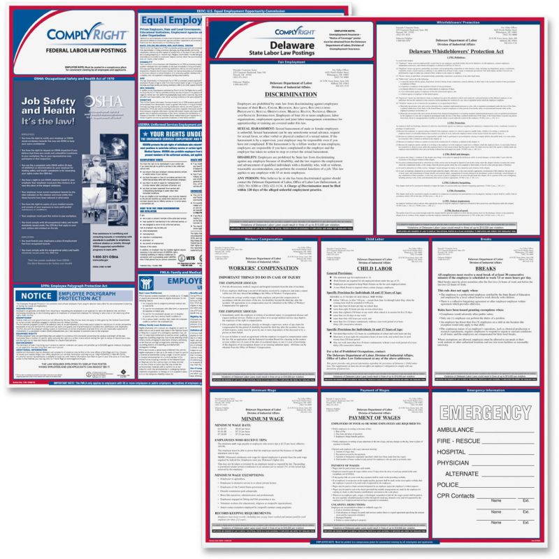 ComplyRight Fed/State Delaware Compliance Labor Law Poster Kit, Laminated, 24" x 37" - 1 set per pack