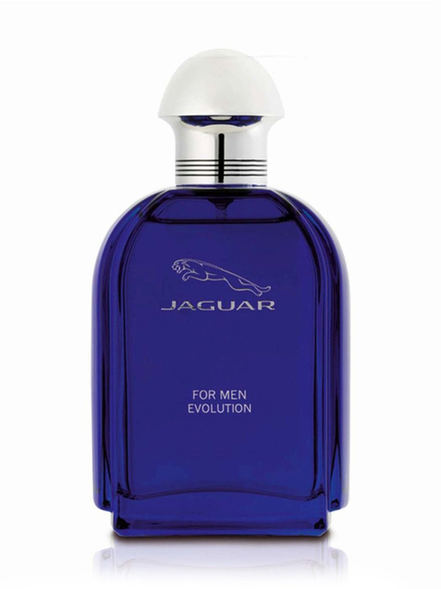 Jaguar Evolution Eau de Toilette for Men - 100 ml