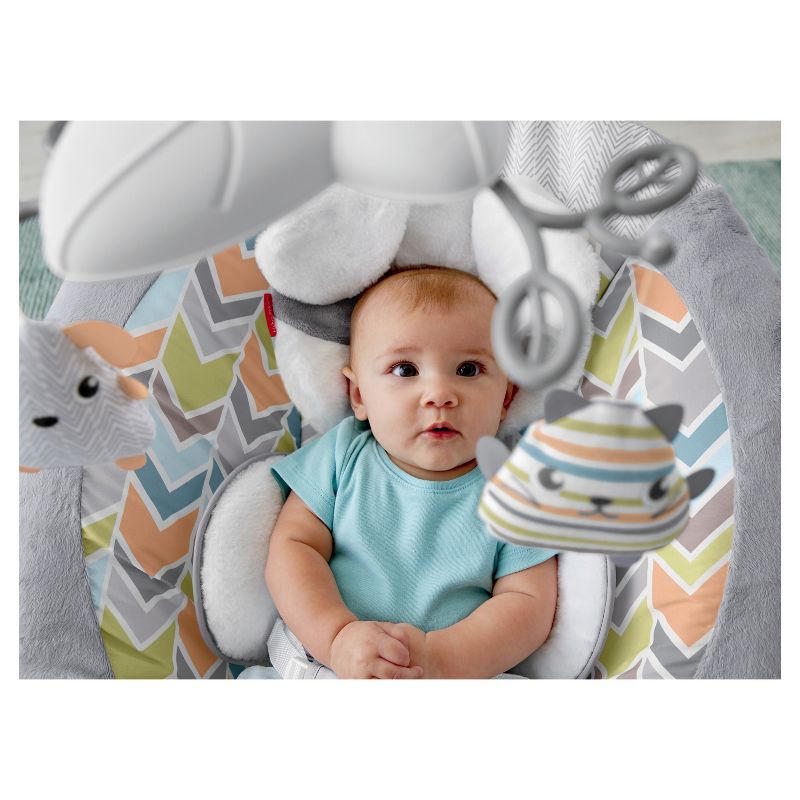 ​Fisher-Price Baby Bouncer