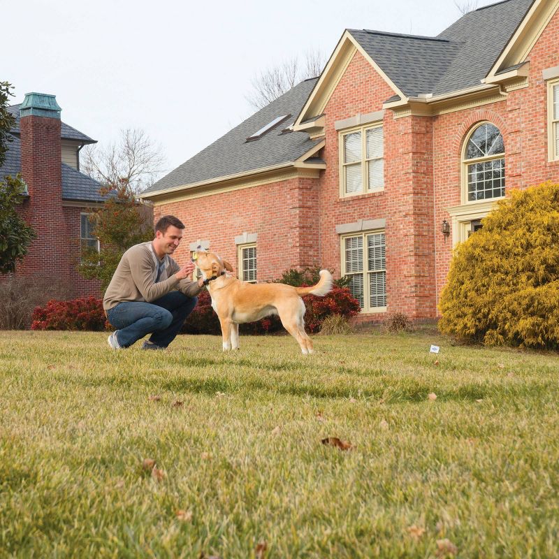 PetSafe Stay and Play Adjustable Wireless Fence Rechargeable Receiver Collar - Black