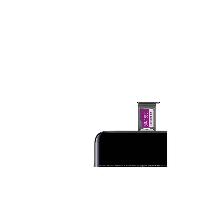 256GB Micro SD Card UHS-I MicroSDXC Card for Drone/Dash Cam/Smart Phone/Tablet PC/Video Player(U1 256GB)