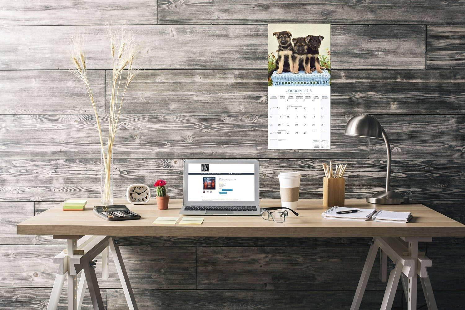 German Shepherd Puppies Calendar 2019 - Dog Breed Calendar - Wall Calendar 2018-2019