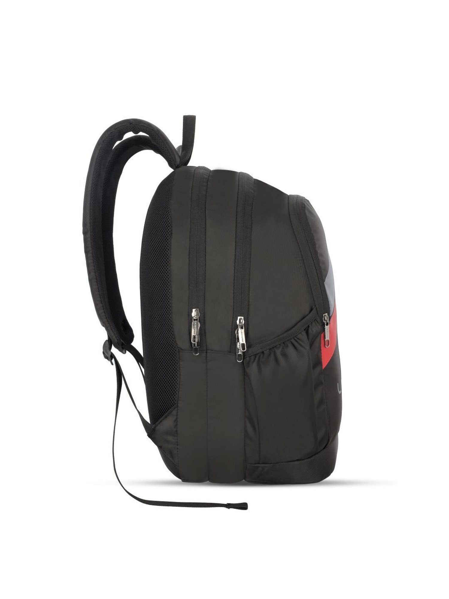 LAVIE SPORT Black Printed Laptop Backpack