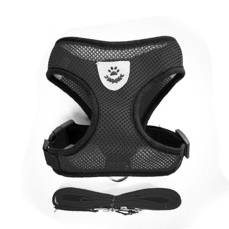 Mesh Padded Soft Puppy Pet Dog Harness Breathable Comfortable Many Colors S M L