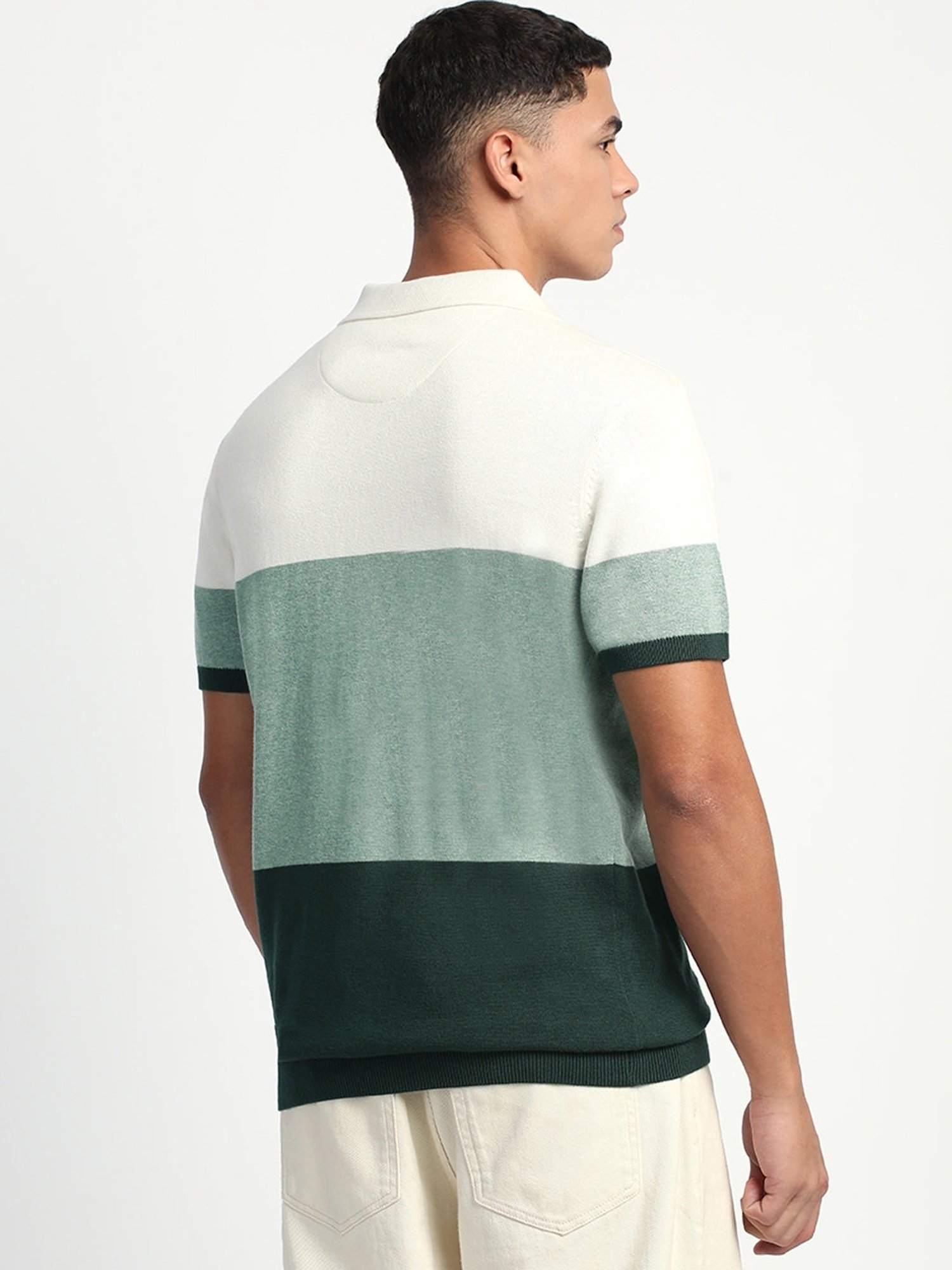 The Bear House Green Regular Fit Colour Block Polo T-Shirt