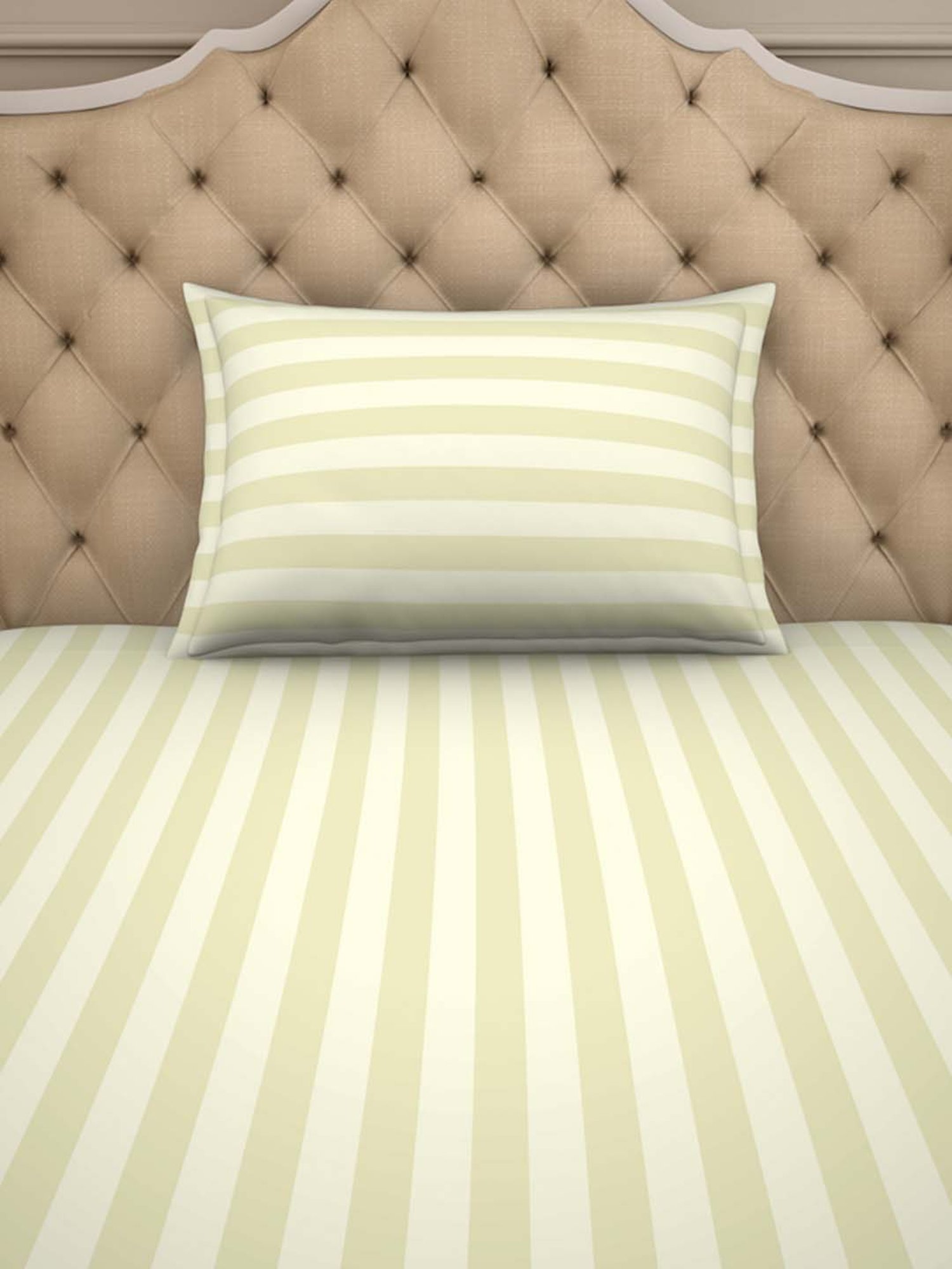 Spaces Sky Rise Ivory Cotton 210 TC Bed Sheet Set