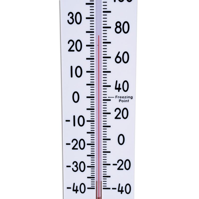 Educational Insights Play Money Coins & Bills Deluxe Set