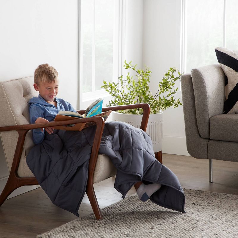 36" x 58" Comfort Collection 5lbs Weighted Bed Blanket Gray - Lucid