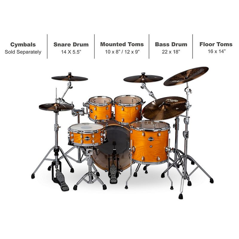 ddrum Dominion Birch 5-piece Shell Pack with Ash Veneer Gloss Natural
