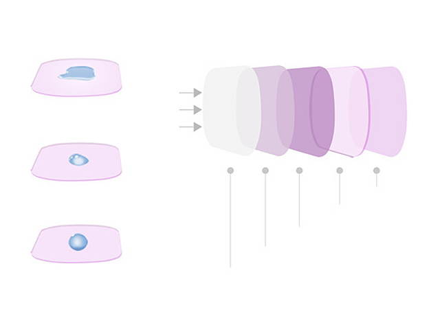 PGYTECH Professional ND-PL Filter Kit Osmo Action (NDPL 8/16/32/64) #P-11B-020
