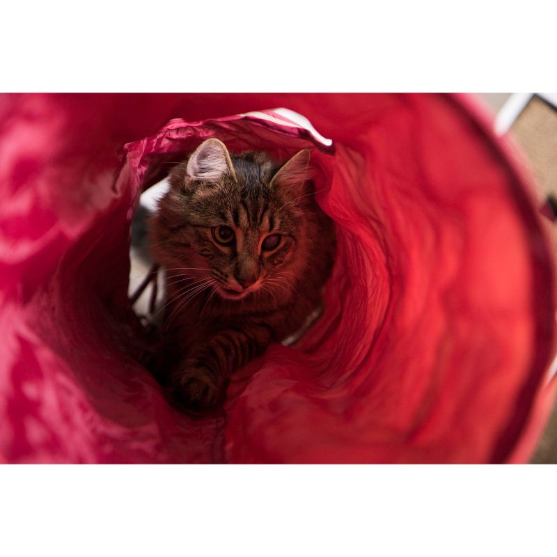 SmartyKat Crackle Chute Tunnel Cat Toy