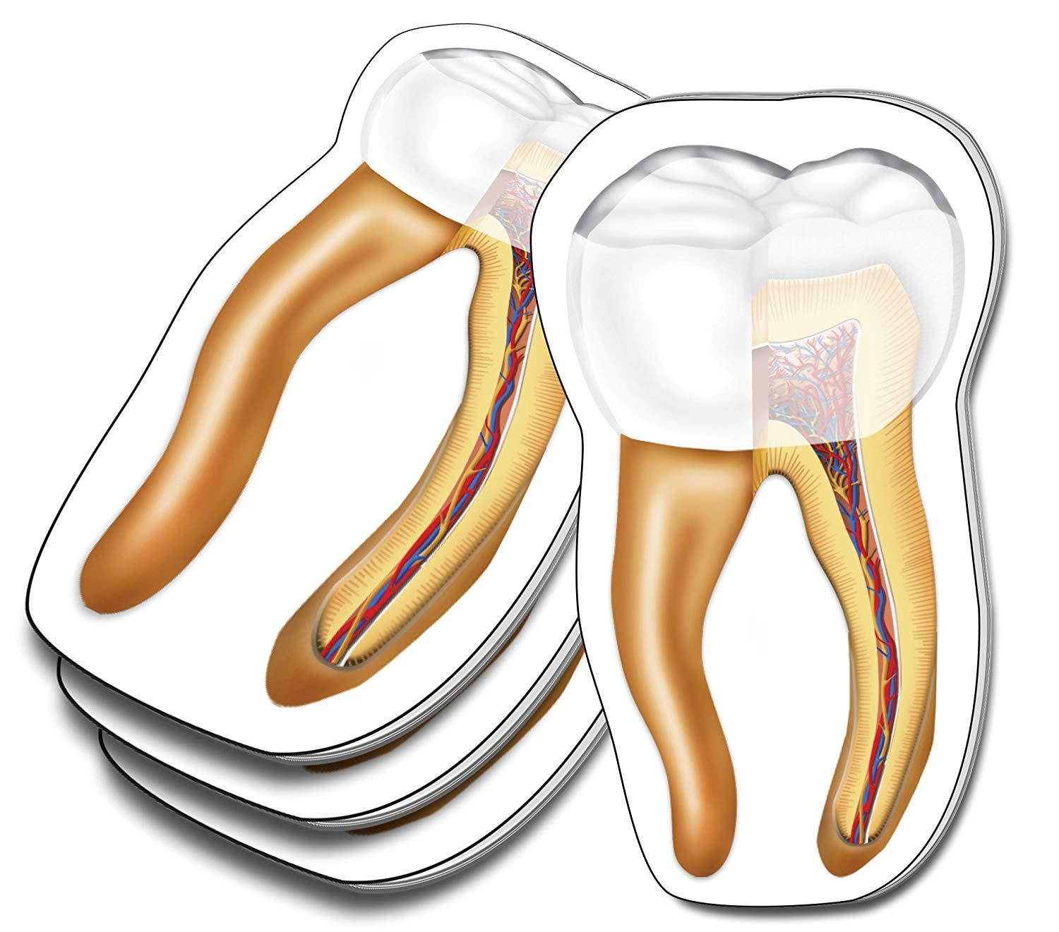 Dentist Dental Hygienist Tooth Sticky Note 4 pack, Paper Count 100