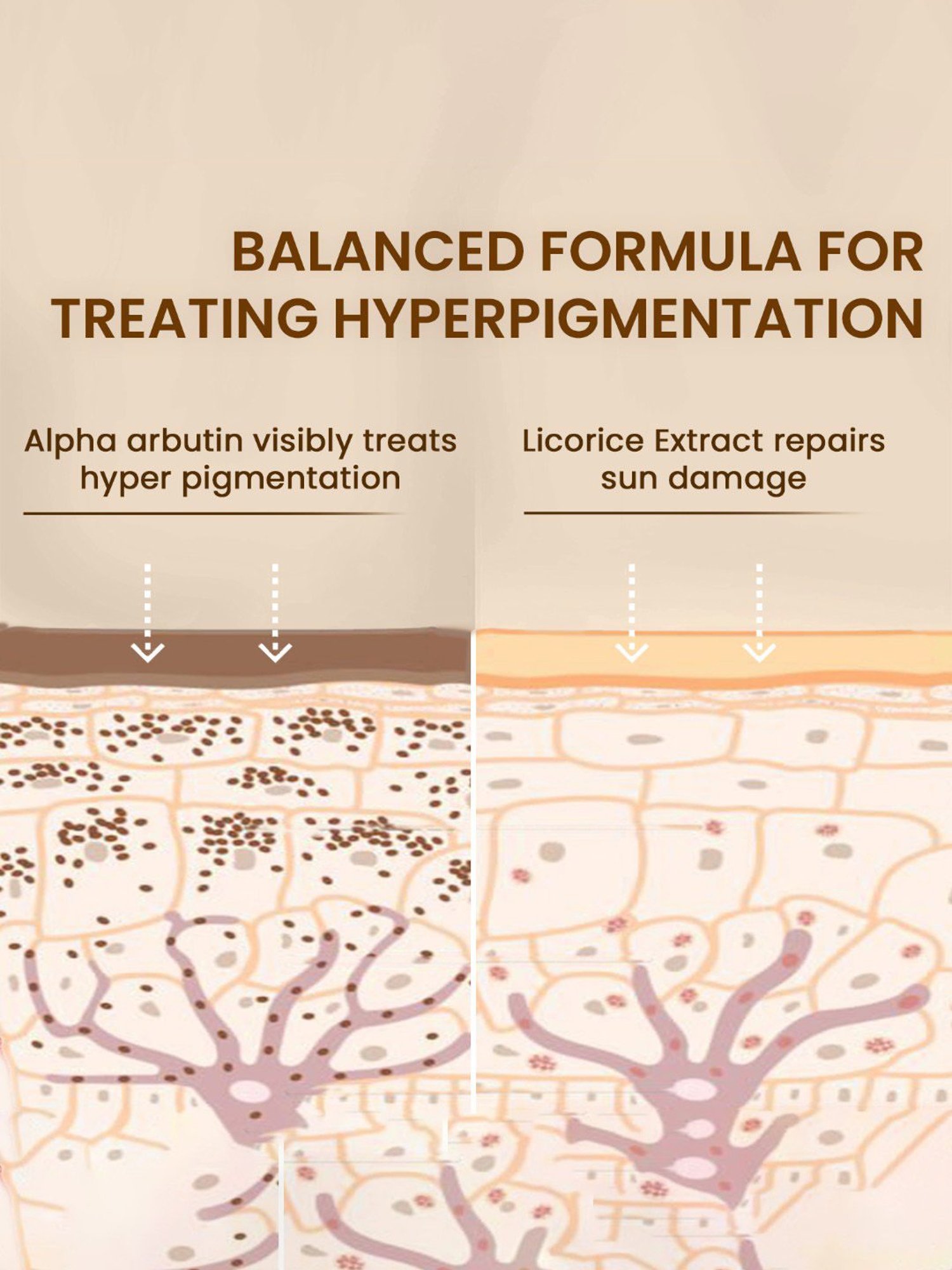 The Skin Story Alpha Arbutin Pigmentation Corrector Serum - 25 ml