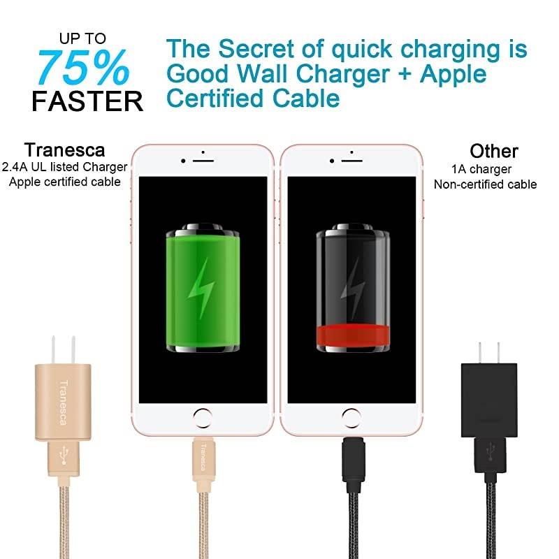 Compatible Dual USB Wall Charger with 6ft MFI Lighting Charging Cable for iPhone XiPhone 88 PlusiPhone 77 PlusiPhone 6iPadiPad Pro and More Gold