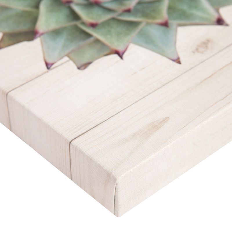 8"x10" 3pc Succulents on Wood Canvas Art Green - Patton Wall Decor
