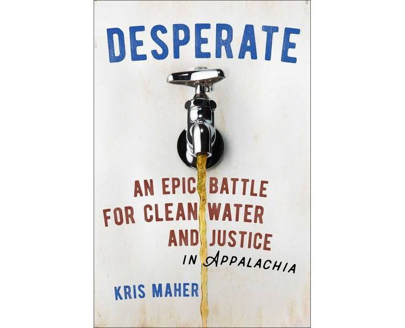 The Pumpkin Patch - (Robin Hill School) by  Margaret McNamara & Mike Gordon (Hardcover)