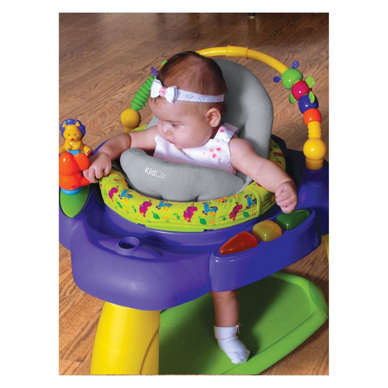 ​Fisher-Price Baby Bouncer