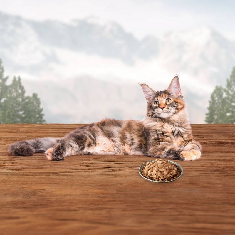 Blue Buffalo Wilderness Tasty Toppers Grain Free Wild Cuts Tasty Salmon Morsels Premium Wet Cat Food Topper - 3oz