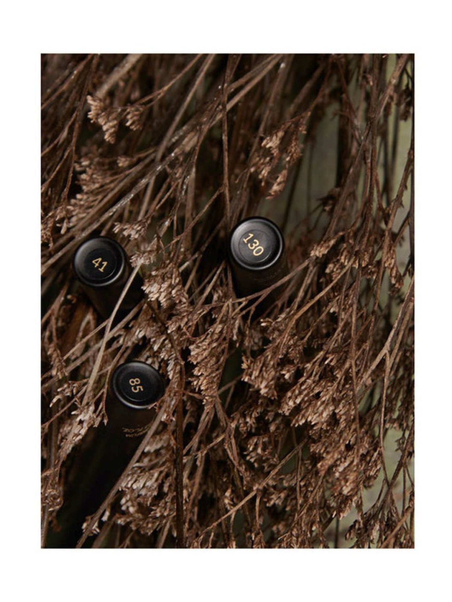 wiSDom by Sheetal Desai 3 in 1 Miniature Perfume For Men