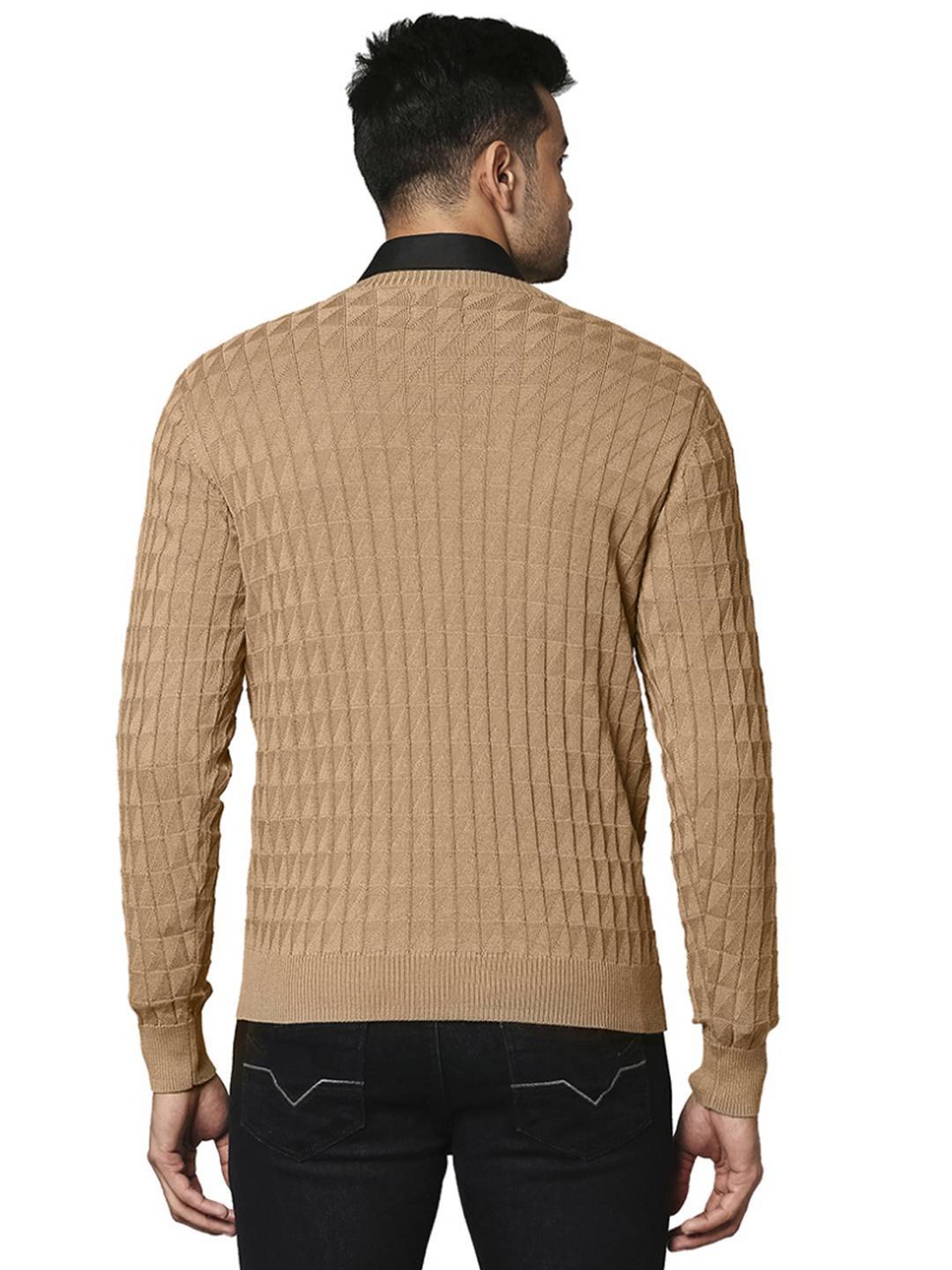 Raymond Beige  Regular Fit Texture Sweaters