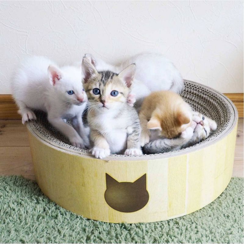 PETKIT Flying Fish Cat Scratcher - White/Blue