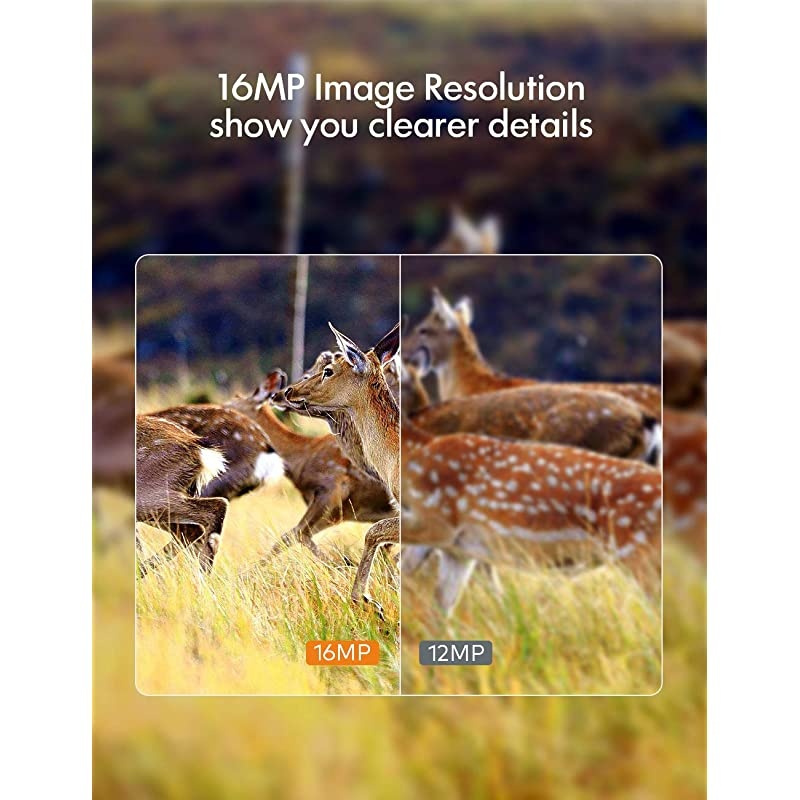 Trail Camera 16MP 1080P NoGlow Infrared Night Vision Hunting Camera for Wildlife Monitoring Garden Home Security Surveillance