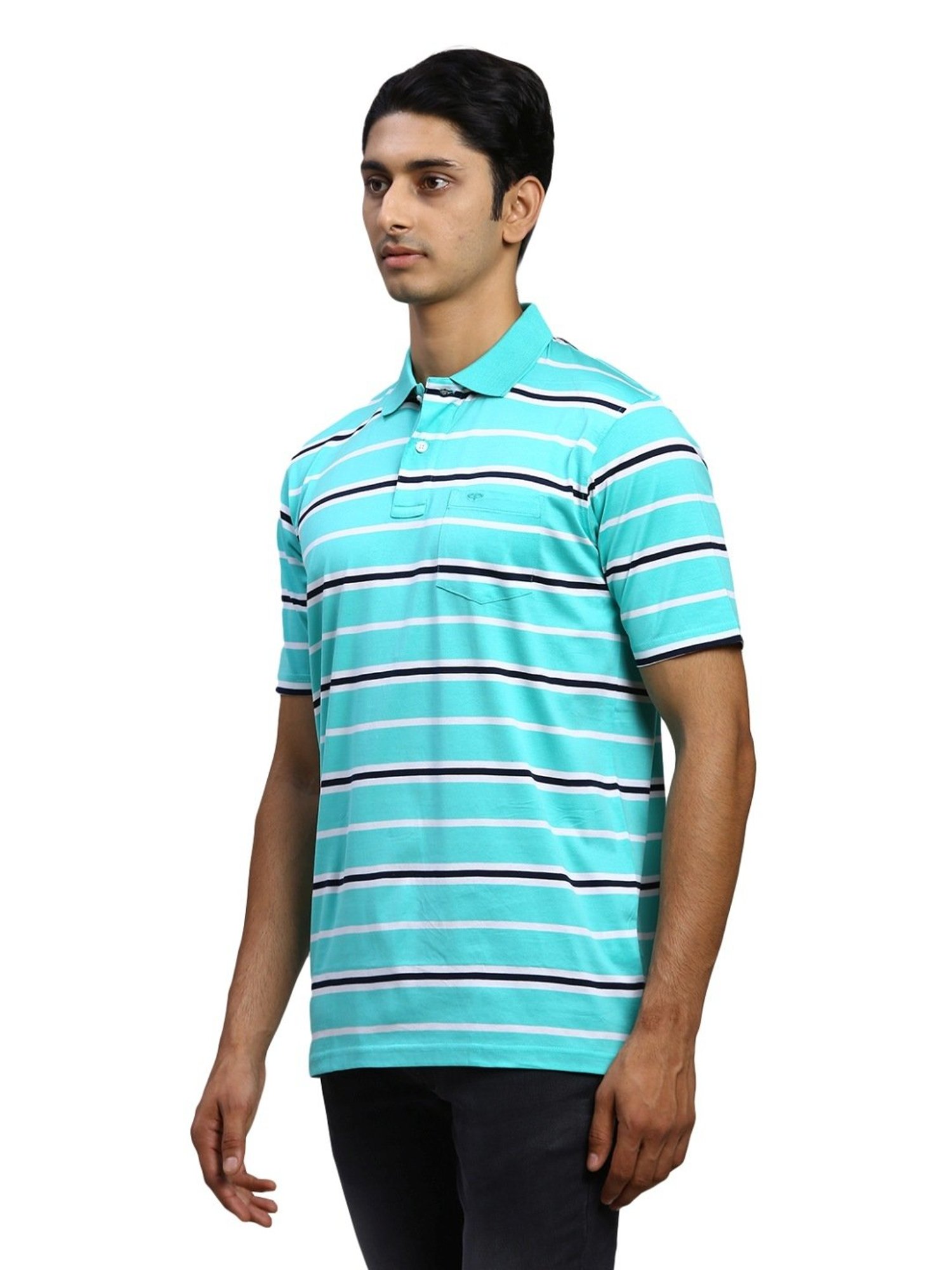 ColorPlus Green Cotton Classic Fit Striped Polo T-Shirt
