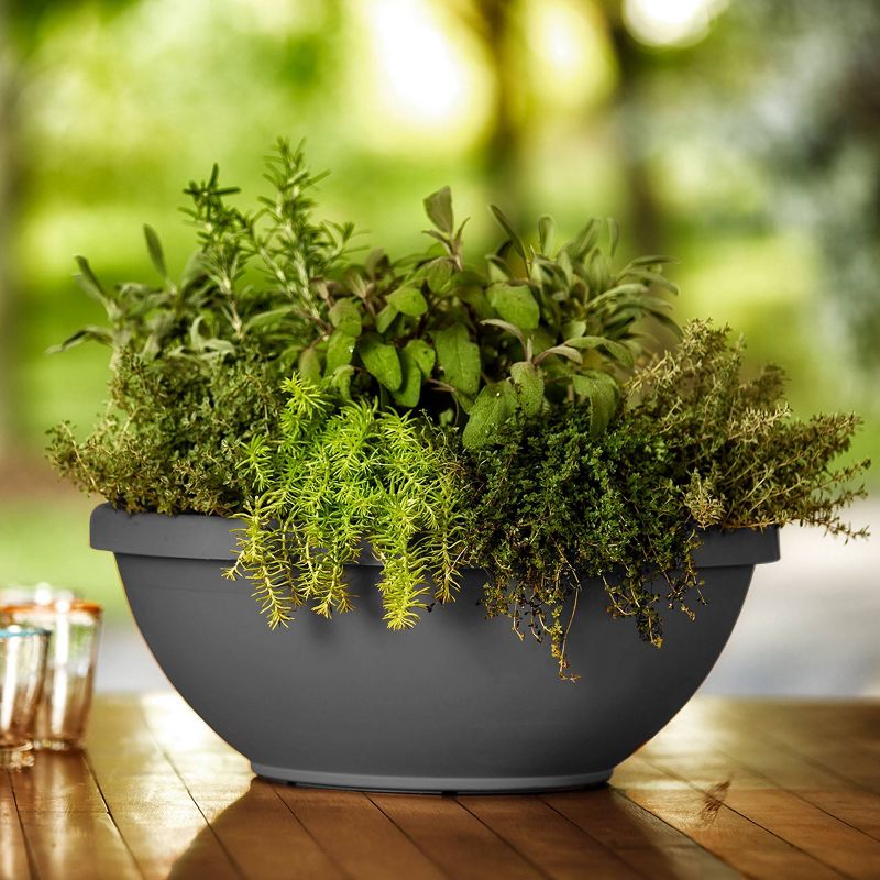 5.5" Indoor/Outdoor Planter Gray - Bloem