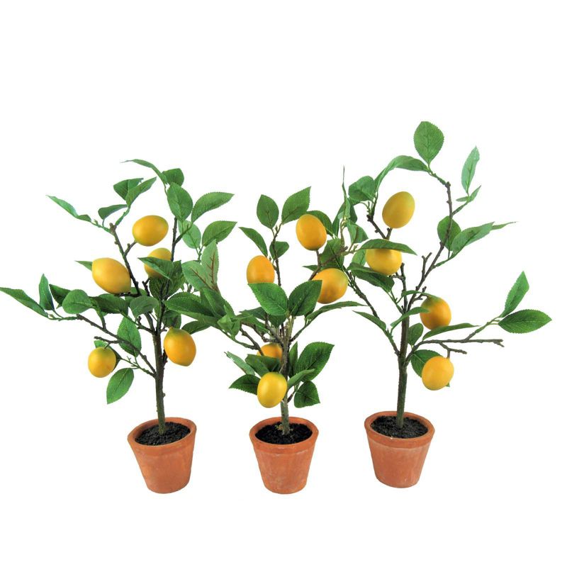 Set of 3 Artificial Lemon Plant in Pots - LCG Florals