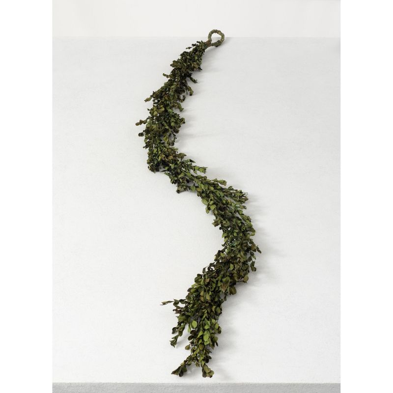 Sullivans 6' Boxwood Artificial Garland 72"L Green