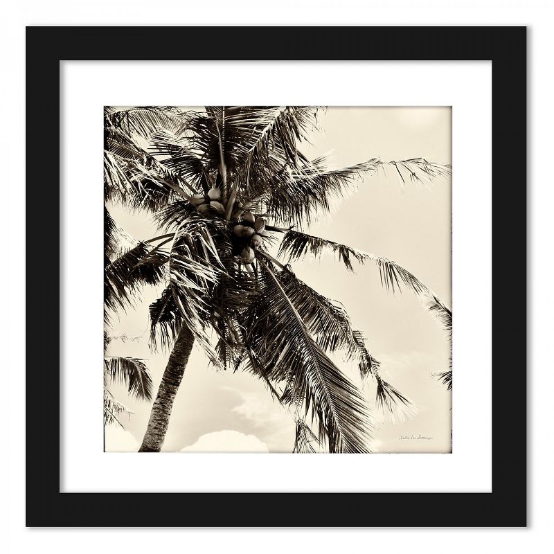 Americanflat Sepia Palm Tree - Set of 2 Framed Prints by Wild Apple
