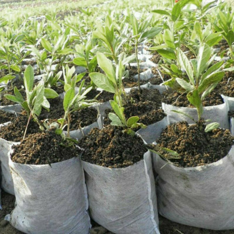 100PCS Biodegradable Non-woven Nursery Bags Plant Grow Planting Seedling Pot US