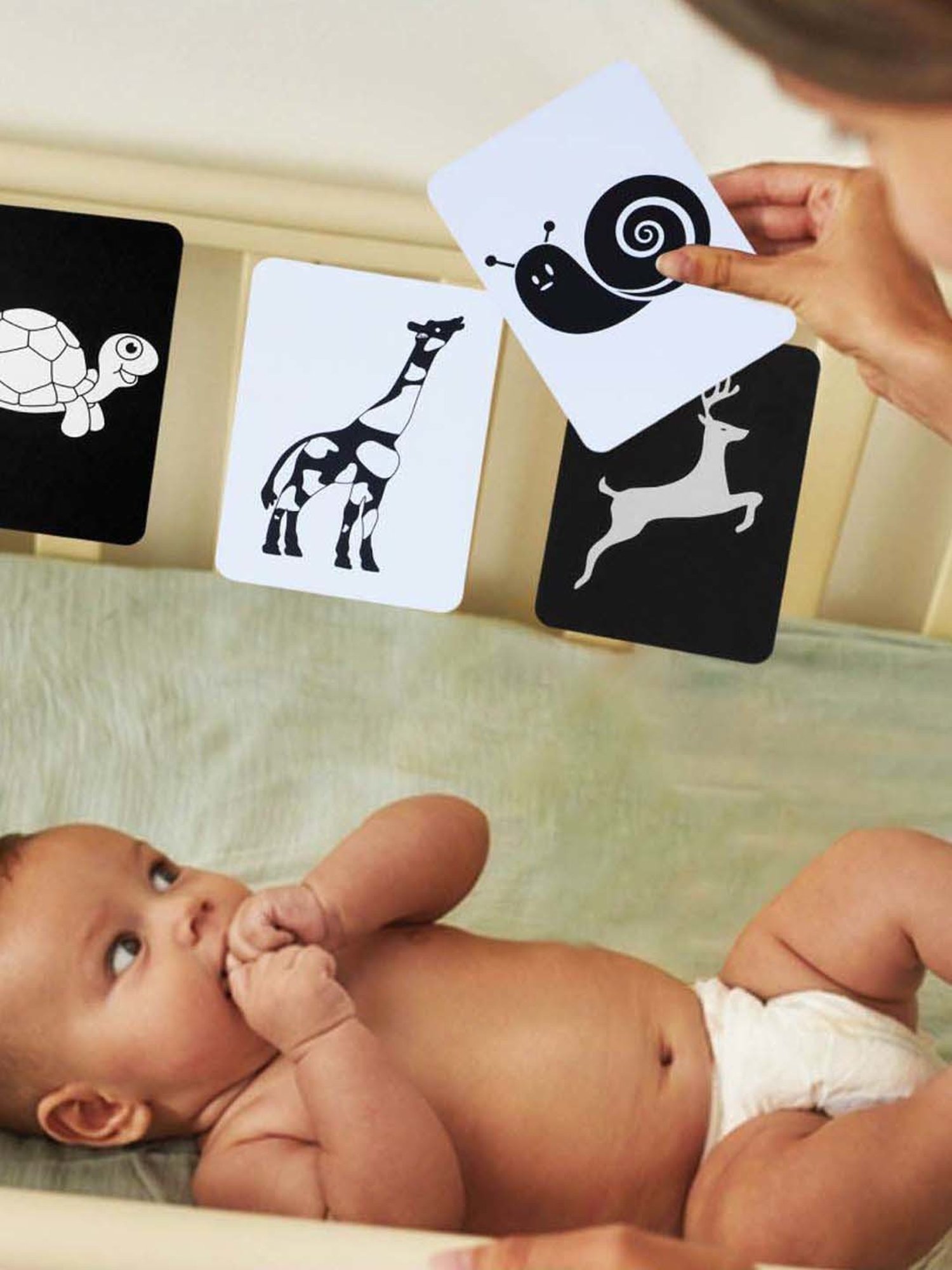 Baby Moo Kids Green 3Flash Cards