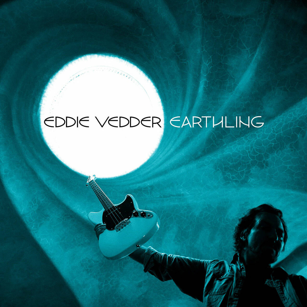 Eddie Vedder Earthling LP (Vinyl)