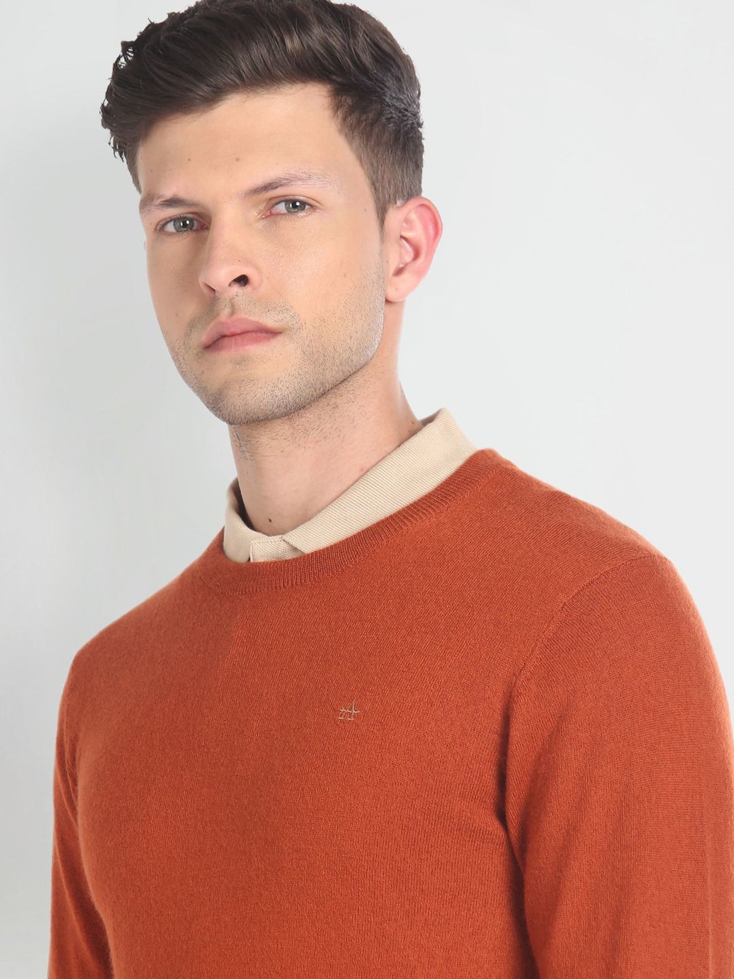 Arrow Rust Regular Fit Sweater