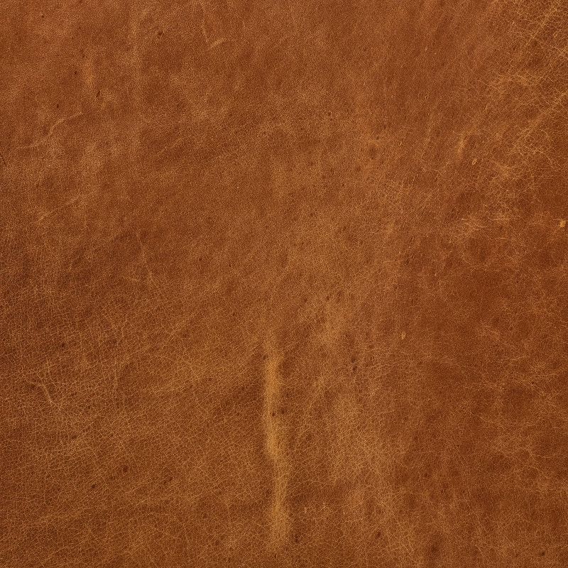 Florence Mid-Century Modern Sofa Cognac Tan - Poly & Bark