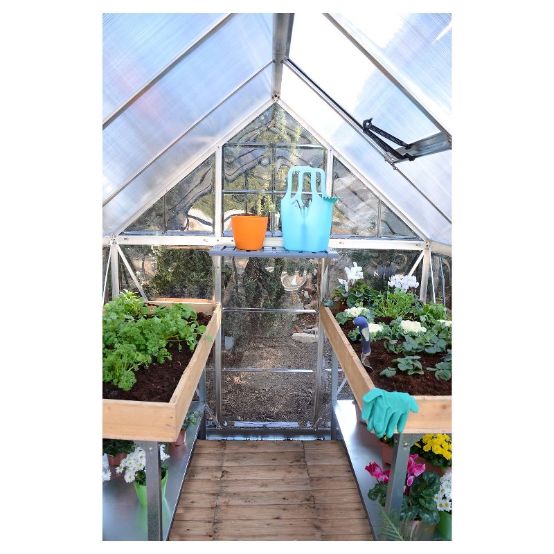 (6' x 4' x 7')  Nature Greenhouse - Silver - Palram