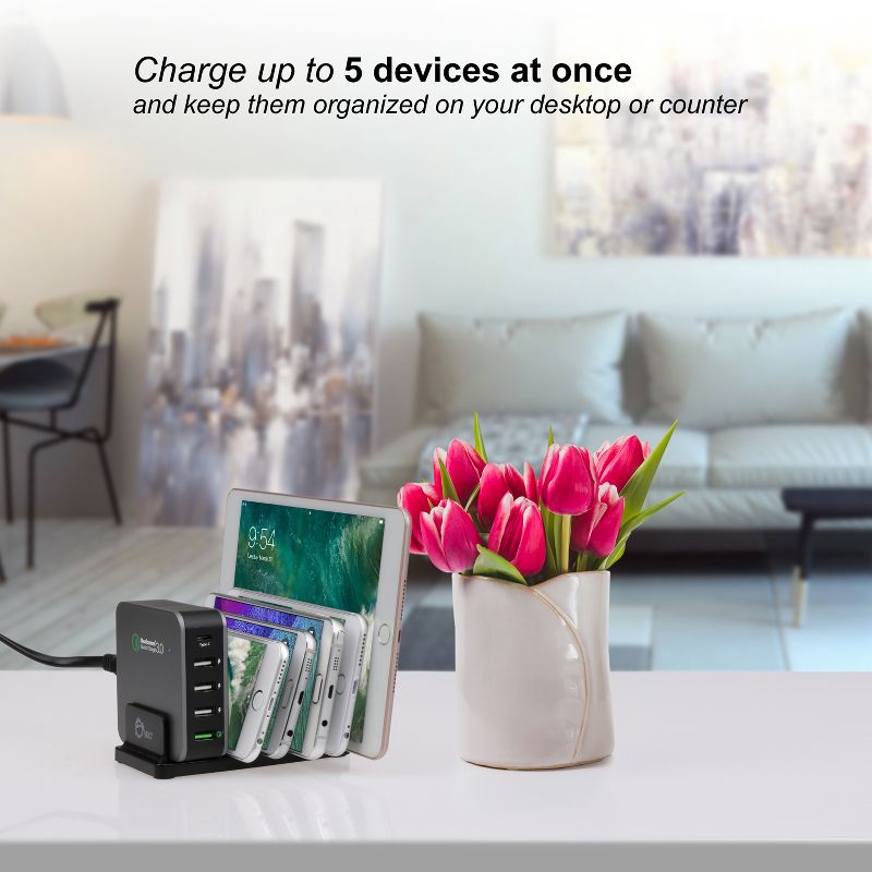 SIIG 5-Port Smart USB Charger plus Organizer Bundle with QC3.0 & Type-C - Black - 120 V AC, 230 V AC Input - 12 V DC/3 A, 9 V DC, 6.5 V DC Output