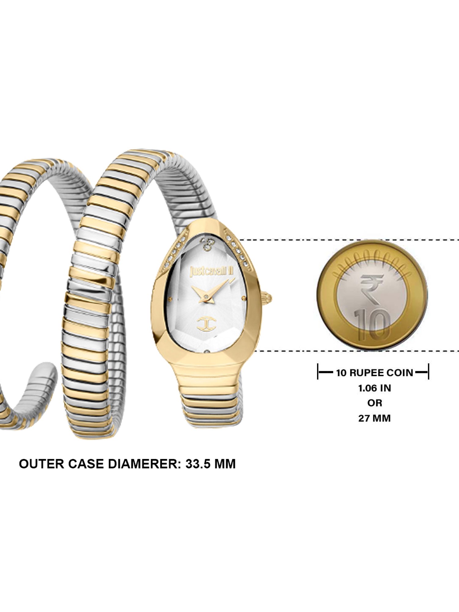 JUST CAVALLI JC1L209M0065 Analog Watch for Women