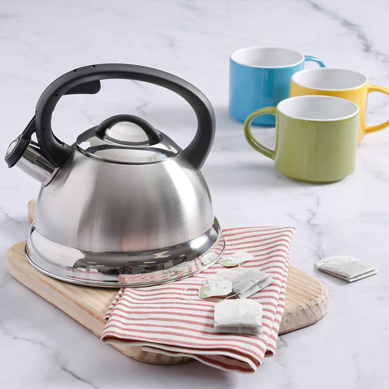 Mr. Coffee 2 Quart Stainless Steel Whistling Tea Kettle with Nylon Handle