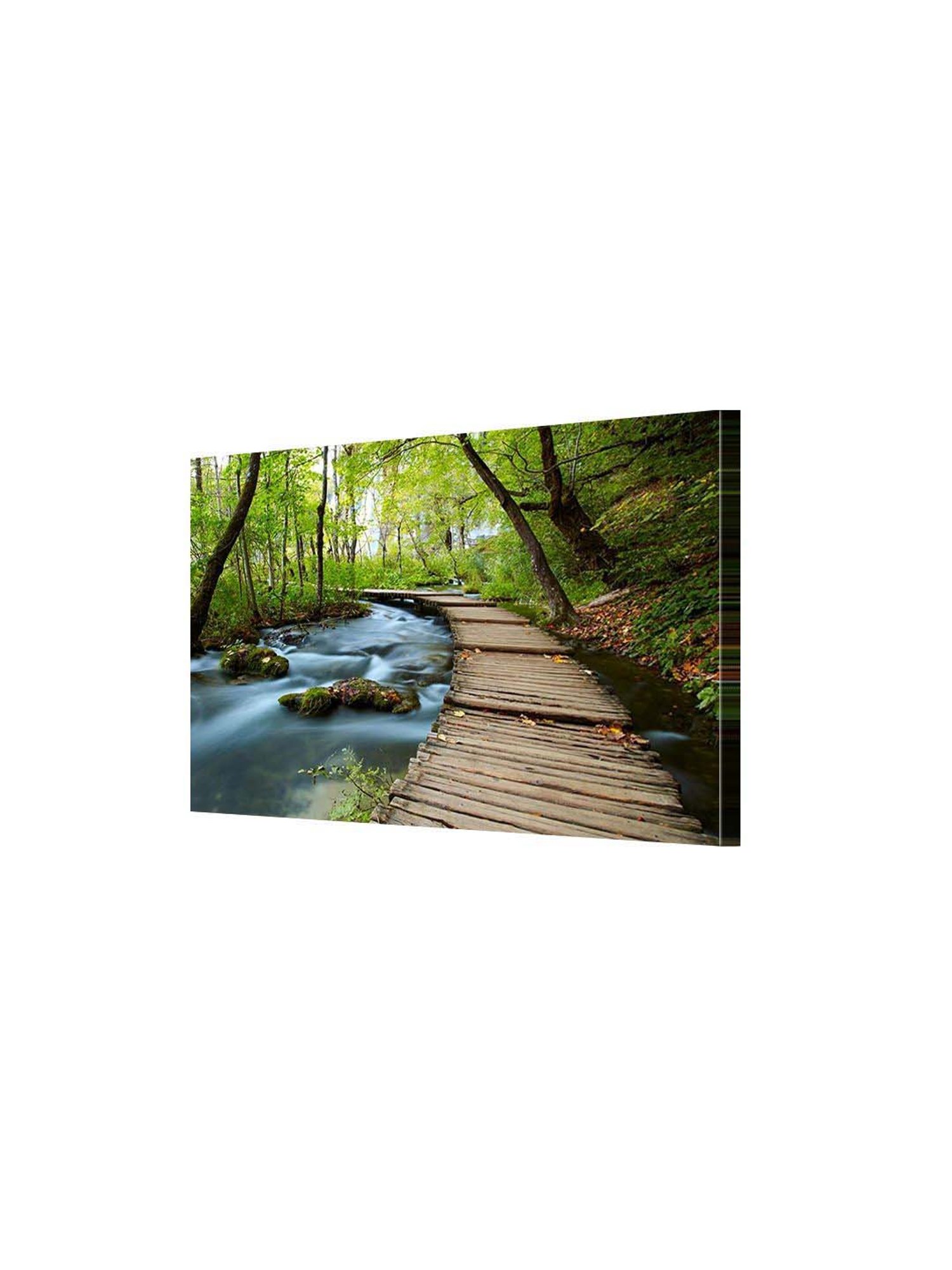 999store Green & Brown Boardwalk In The Park Canvas Painting