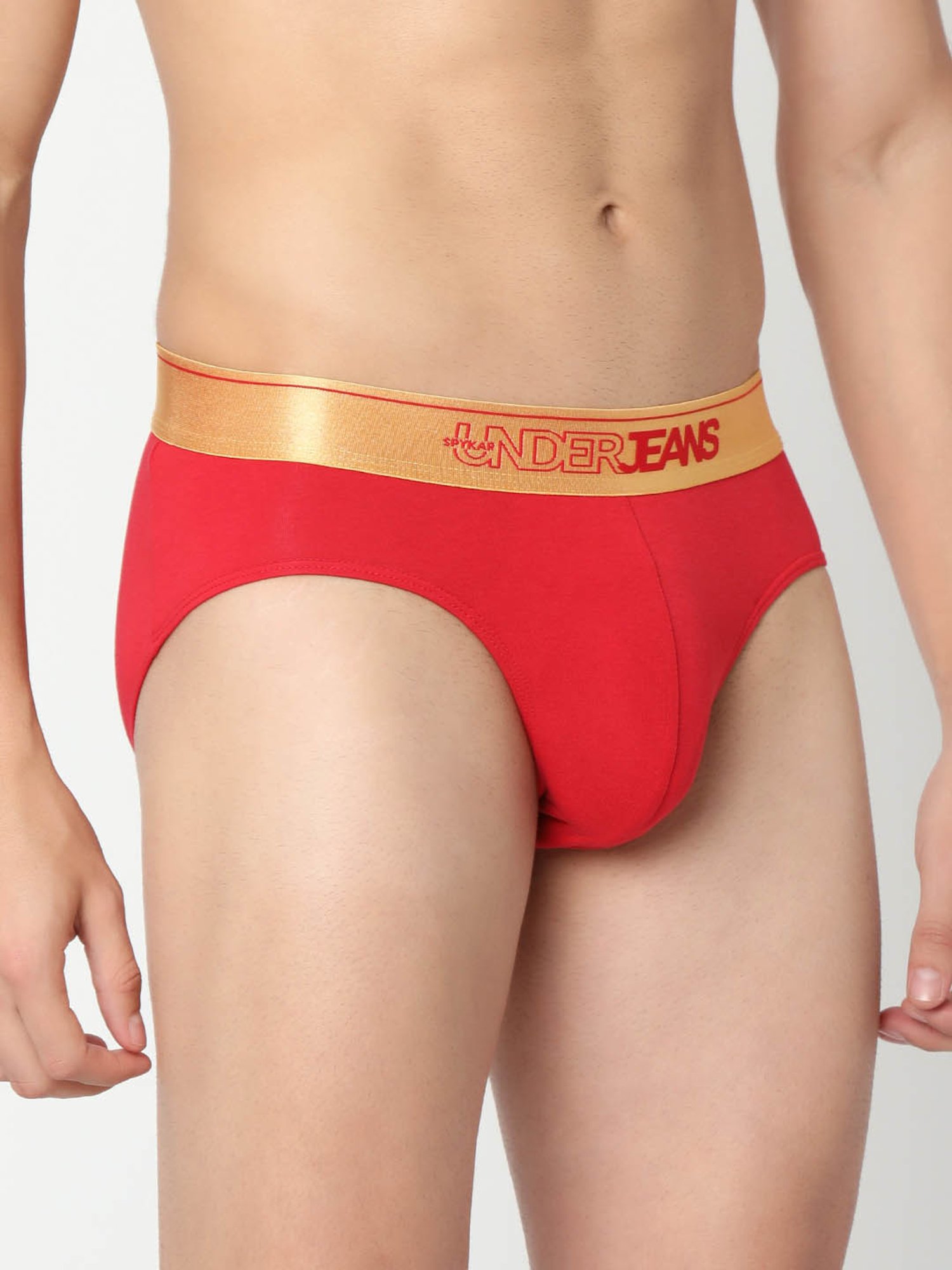 Underjeans By Spykar Multi Regular Fit Briefs - Pak of 2