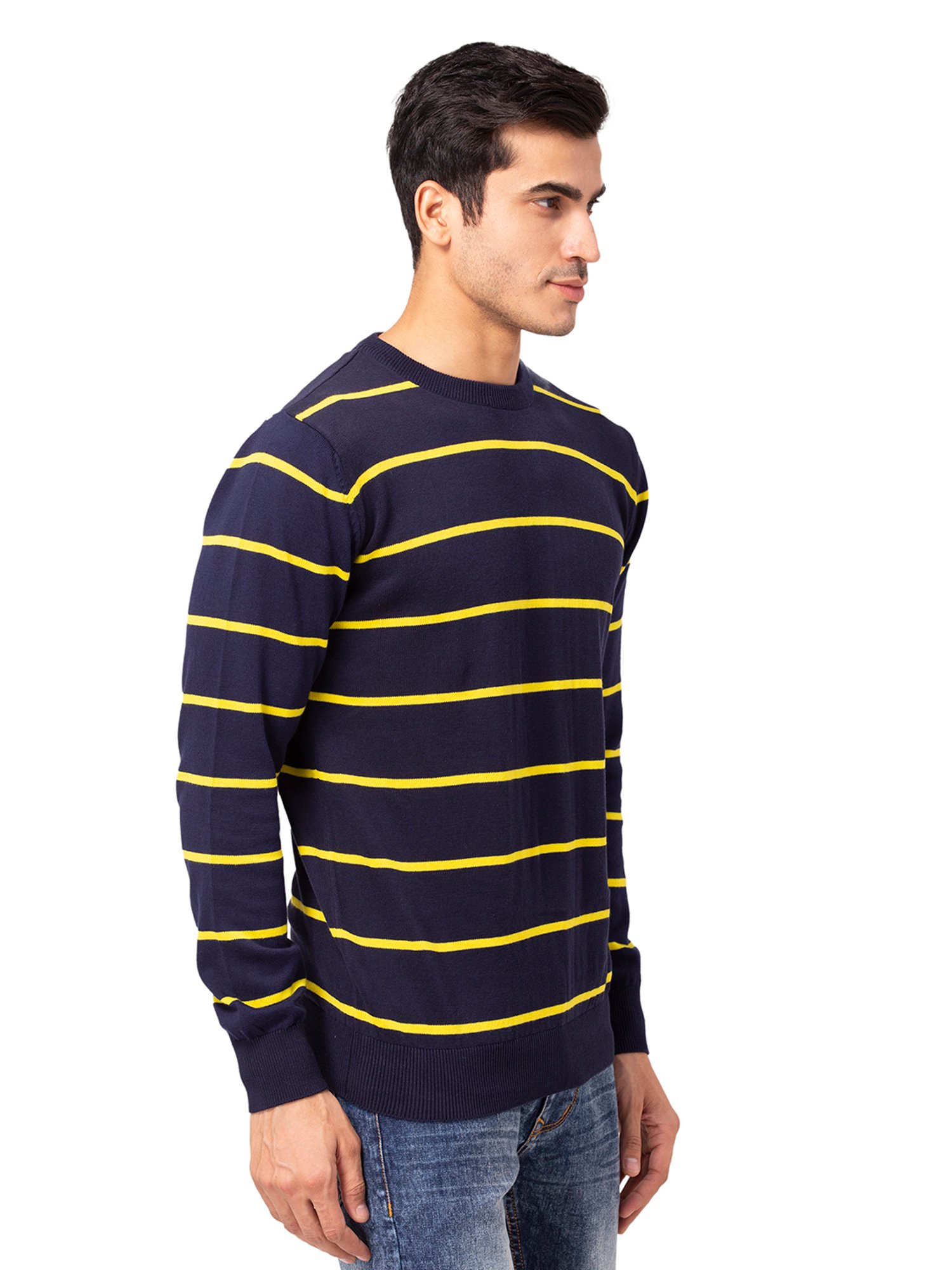 Allen cooper Navy Regular Fit Striped Sweater