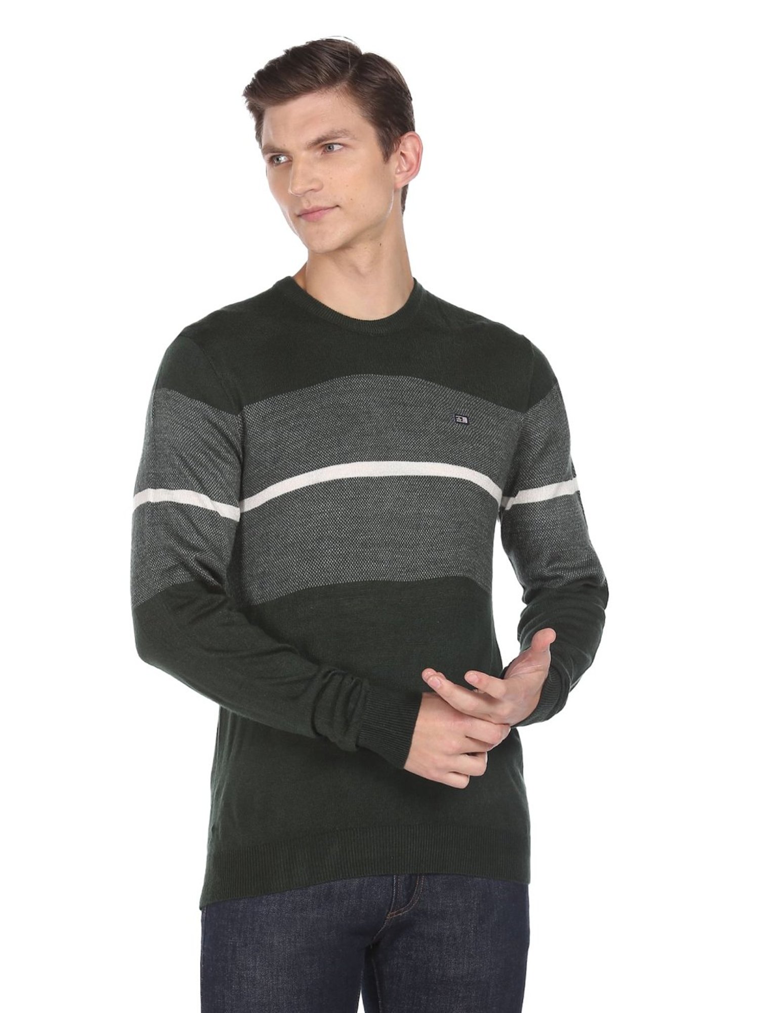 Arrow Sport Olive Regular Fit Striped Sweater