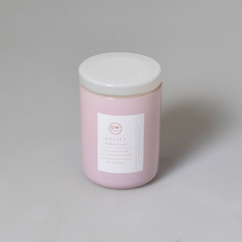 4oz Wellness Spa/Uplift Grapefruit and Yuzu Candle - DW Home