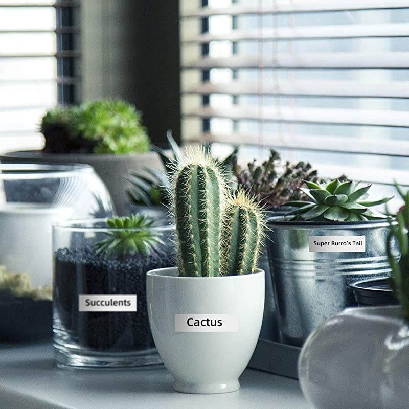 Compatible Label Tape Replacement for Brother PTouch Label Maker Tape TZe231 TZ231 to PTD210 PTD400AD PTH110 PTD200 PTD600VP PT1880c 12mm 047 Laminated Black on White Tape 10Pack