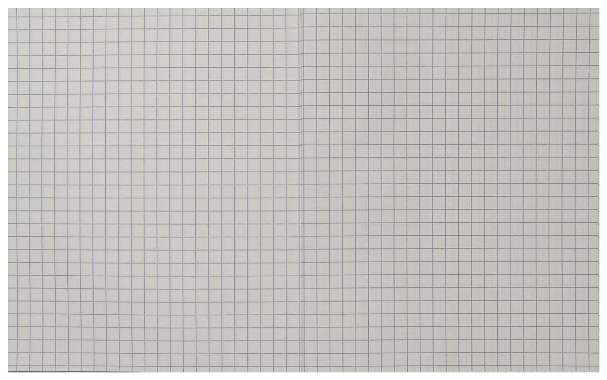 Rhino Exercise Book, 8 x 6.5 Inches, 80 page, 7mm squares, Blue Cover (Pack of 10)